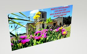 B&B La Nicchiarica